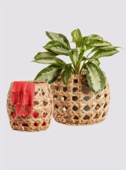 Heine Home Körbe In Natur -Haushaltsgegenstände Rabatt 18592d09e2e31c7b100c07c6cc50568f