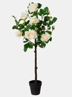 Gasper Kunstpflanze In Creme