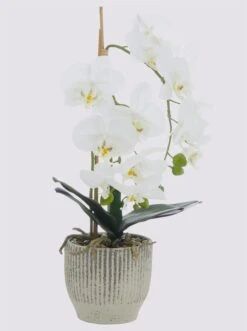 Heine Home Kunstpflanze In Weiß