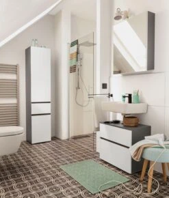 Home Affaire Spiegelschrank In Anthrazit/weiß -Haushaltsgegenstände Rabatt bc4824859a5d3a800f6ab3ed8e77d2f4 1