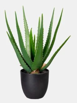 Gasper Kunstpflanze In Grün