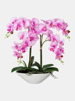 Gasper Kunstpflanze In Pink