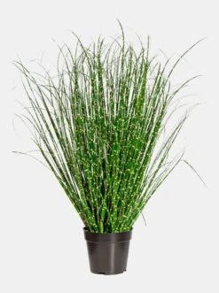 Gasper Grasbusch Mit Topf In Grün-weiß